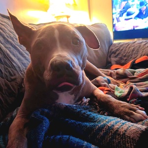 Fundraising Page: John Kalament